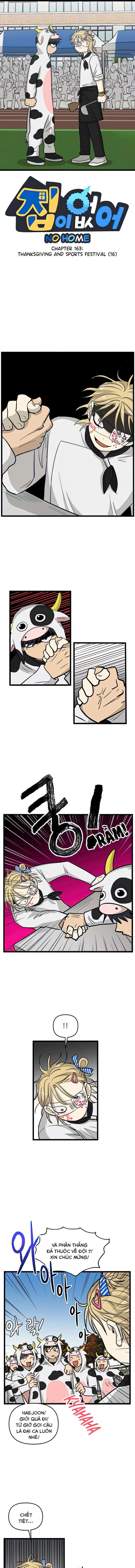 I Have No Home Chapter 163 - 1