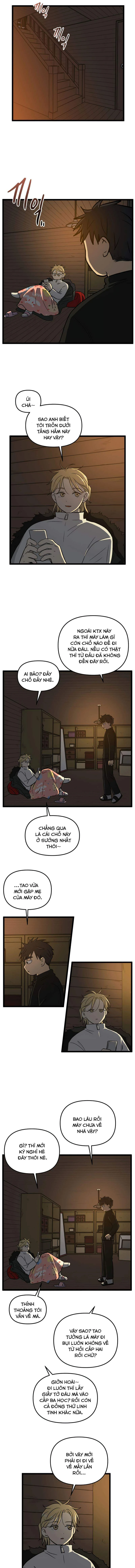 I Have No Home Chapter 193 - 8