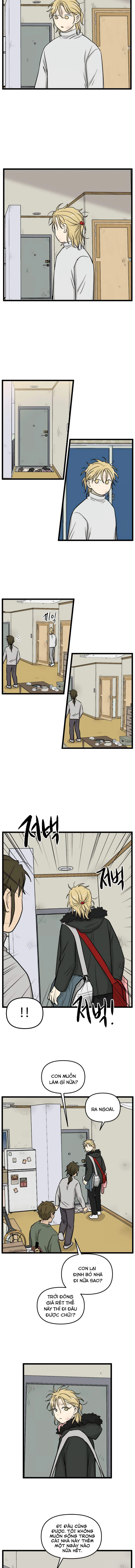 I Have No Home Chapter 205 - 6