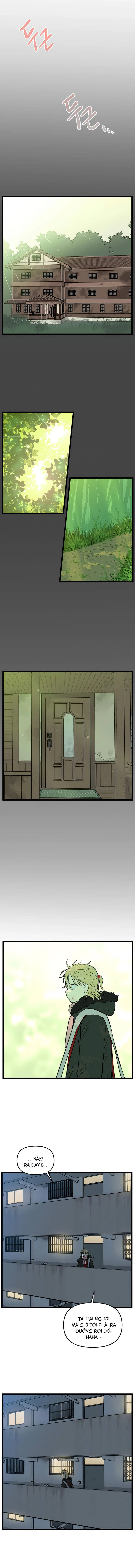 I Have No Home Chapter 206 - 2