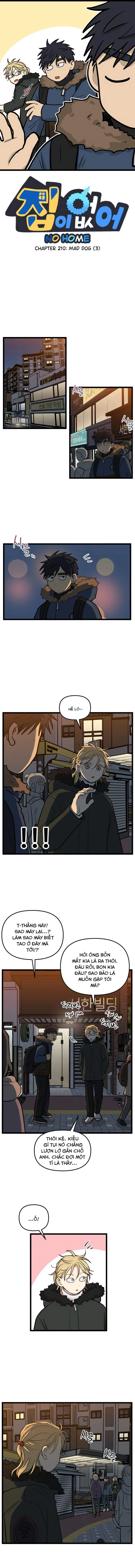 I Have No Home Chapter 210 - 1
