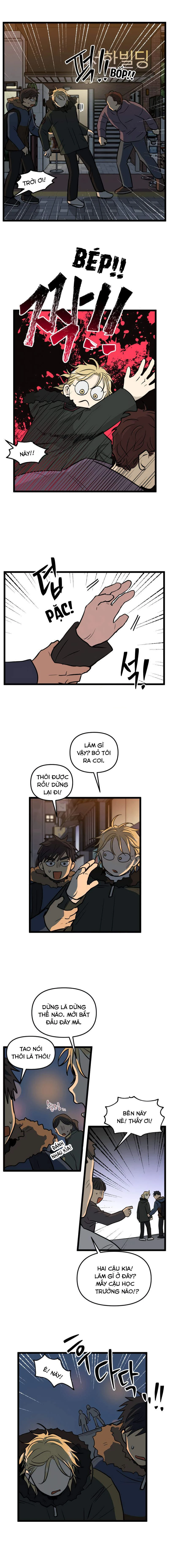I Have No Home Chapter 210 - 3