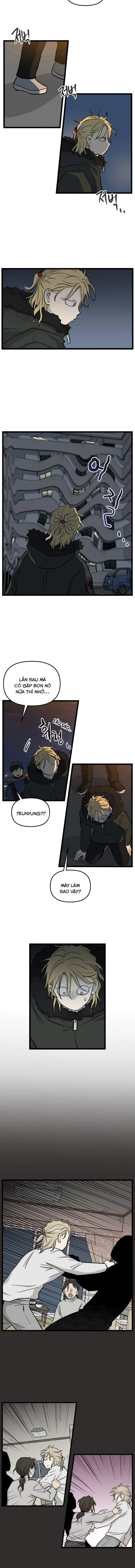 I Have No Home Chapter 210 - 7