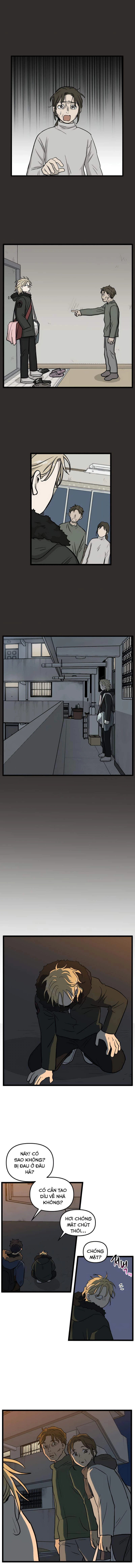 I Have No Home Chapter 210 - 8