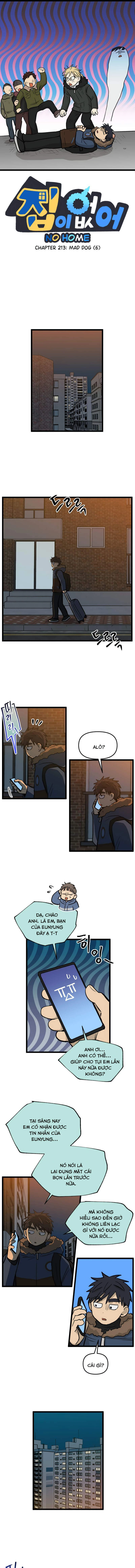 I Have No Home Chapter 213 - 1