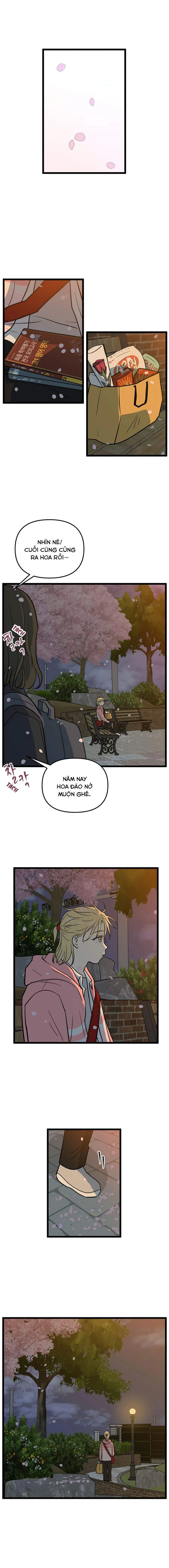 I Have No Home Chapter 225 - 8