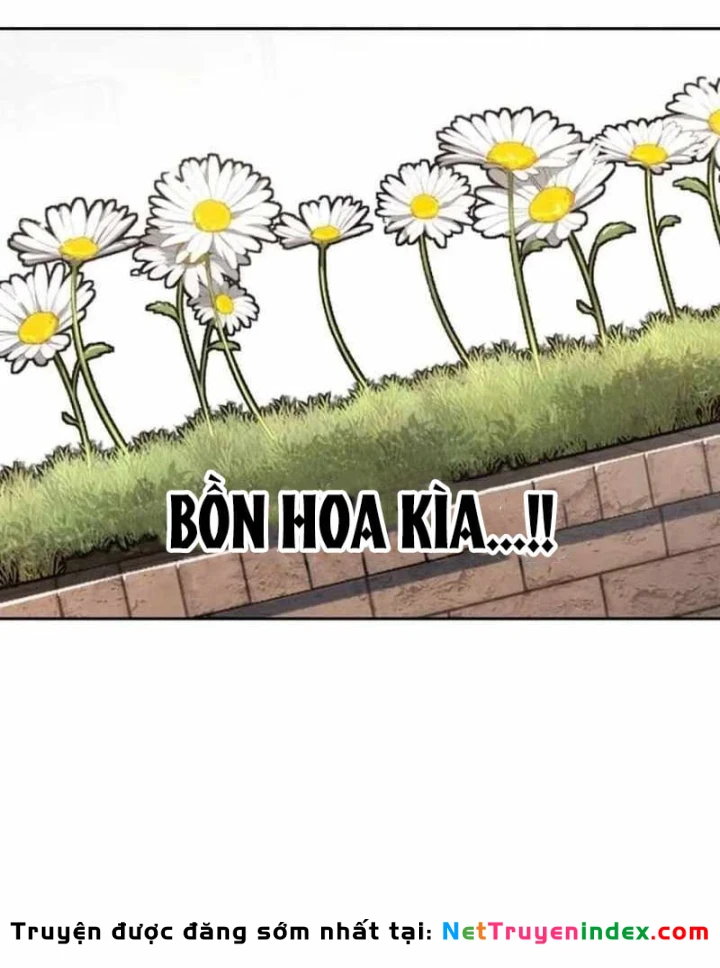 Thiếu Niên Hồi Sinh Chapter 17 - 51