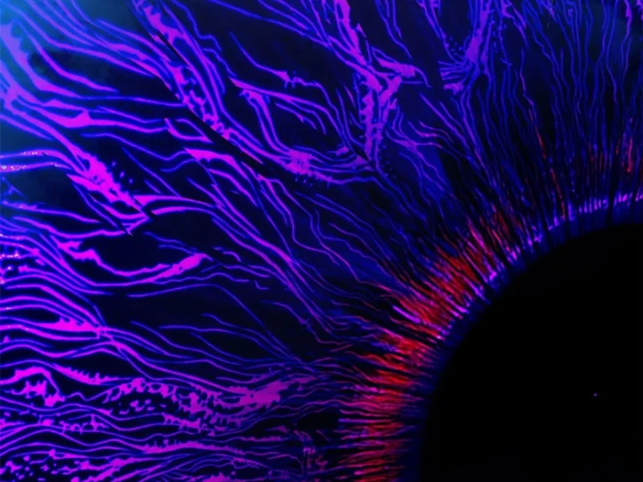 Săn Sale Ở Thế Giới Quỷ Dị Chapter 3 - 8