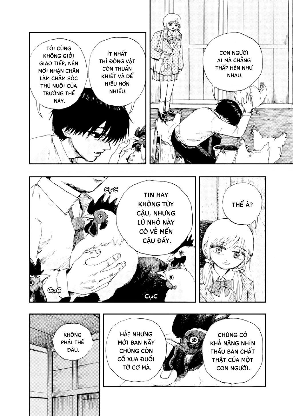 Tựa như chim mẹ Chapter 1 - 4