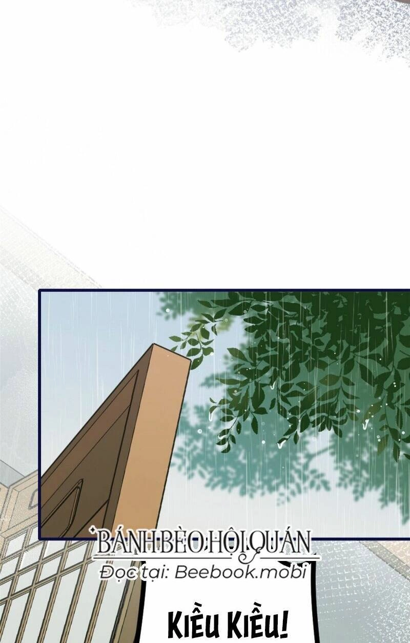 Sau Khi Sống Lại, Ta Trở Thành Kiều Thê Của Quyền Thần. Chapter 1 - 13