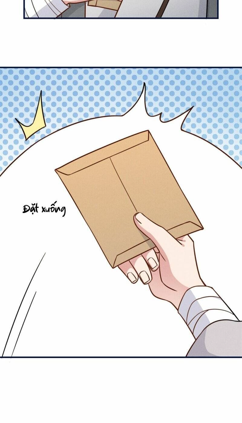 Sau Khi Sống Lại, Ta Trở Thành Kiều Thê Của Quyền Thần. Chapter 14 - 25