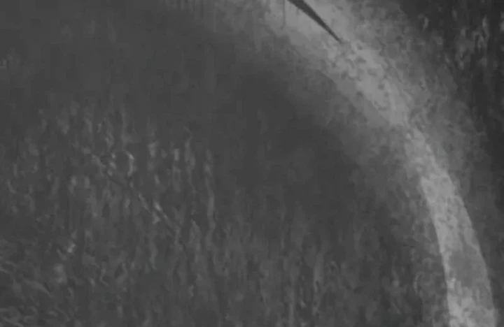 Quái Vật Chống Lại Quái Vật Chapter 18 - 8