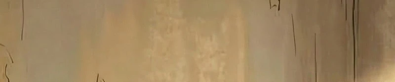 Vào Tù 10 Năm, Ai Còn Hăng Hái Làm Việc Nghĩa? Chapter  2 - 290