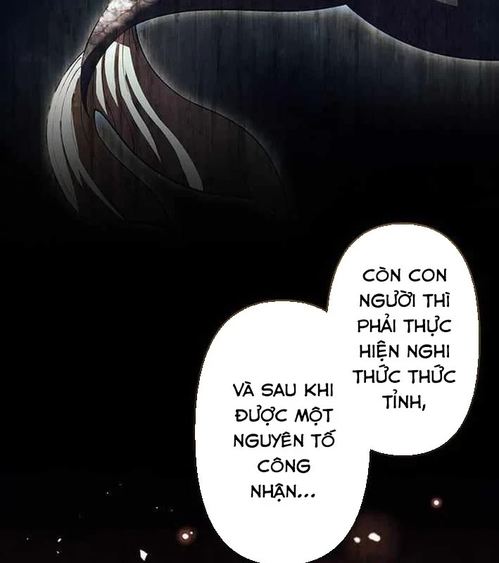 Võ Giả Bí Ẩn Của Huyết Ma Chapter 17 - 49