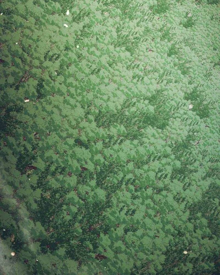 Võ Giả Bí Ẩn Của Huyết Ma Chapter 25 - 191