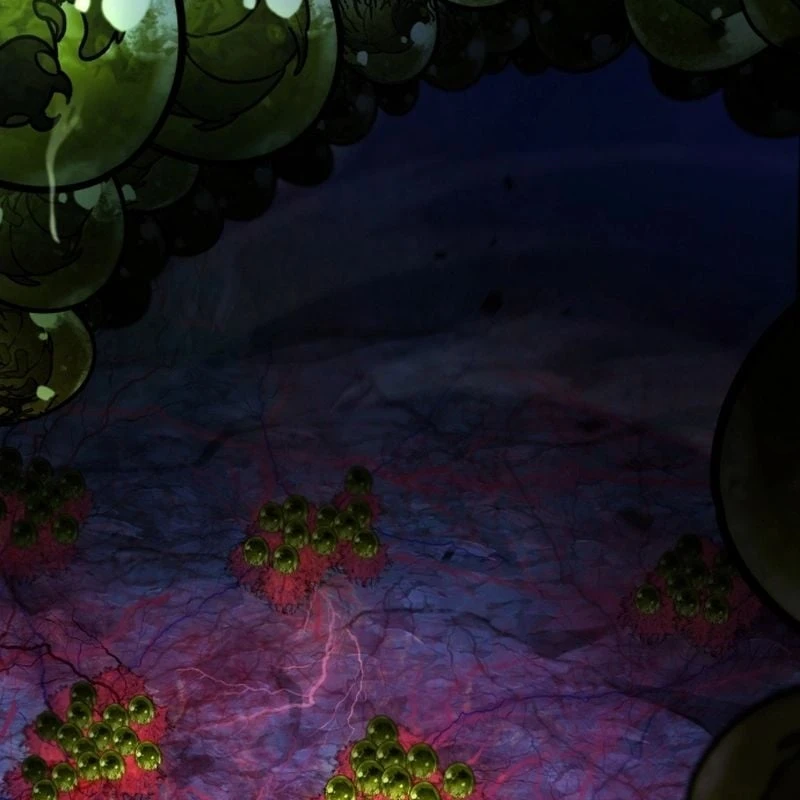 Hành trình vác gậy chạy bốn phương tám hướng Chapter  1 - 271