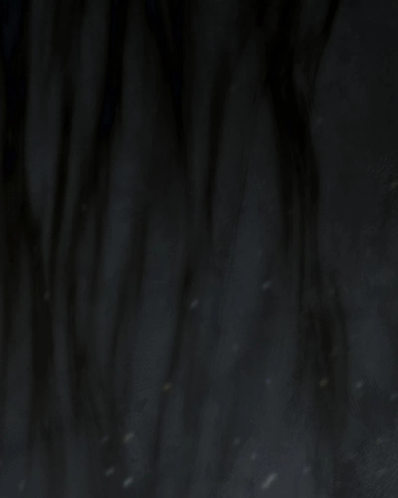 Hành trình vác gậy chạy bốn phương tám hướng Chapter  4 - 140