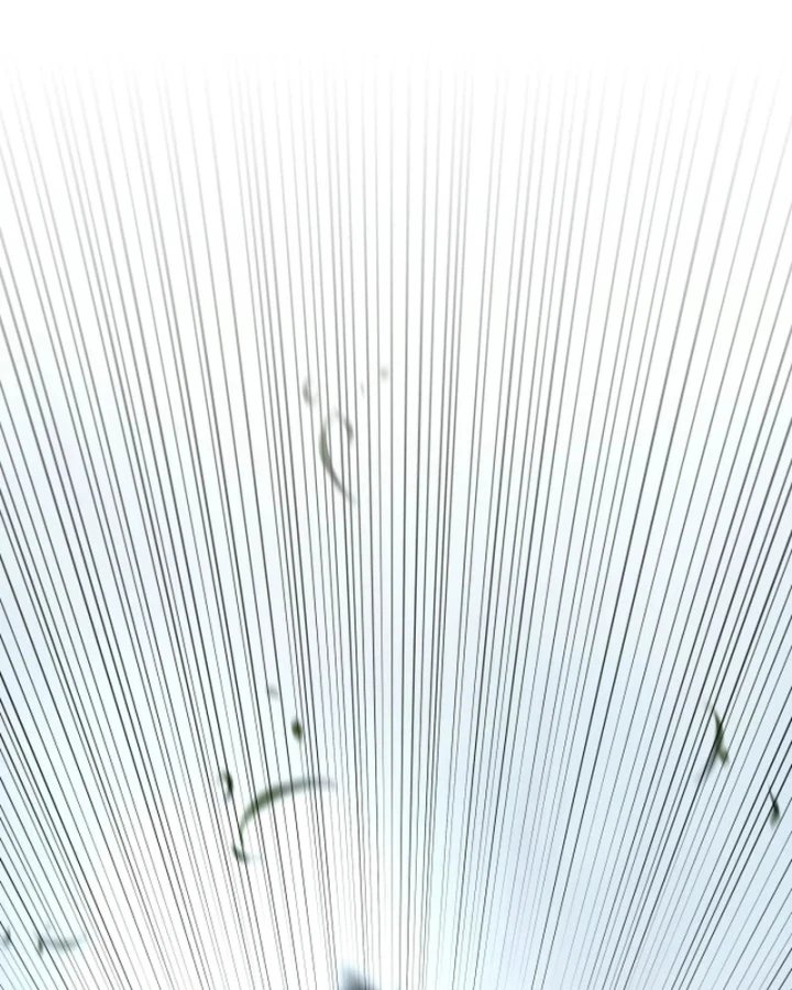 Hành trình vác gậy chạy bốn phương tám hướng Chapter 17 - 68