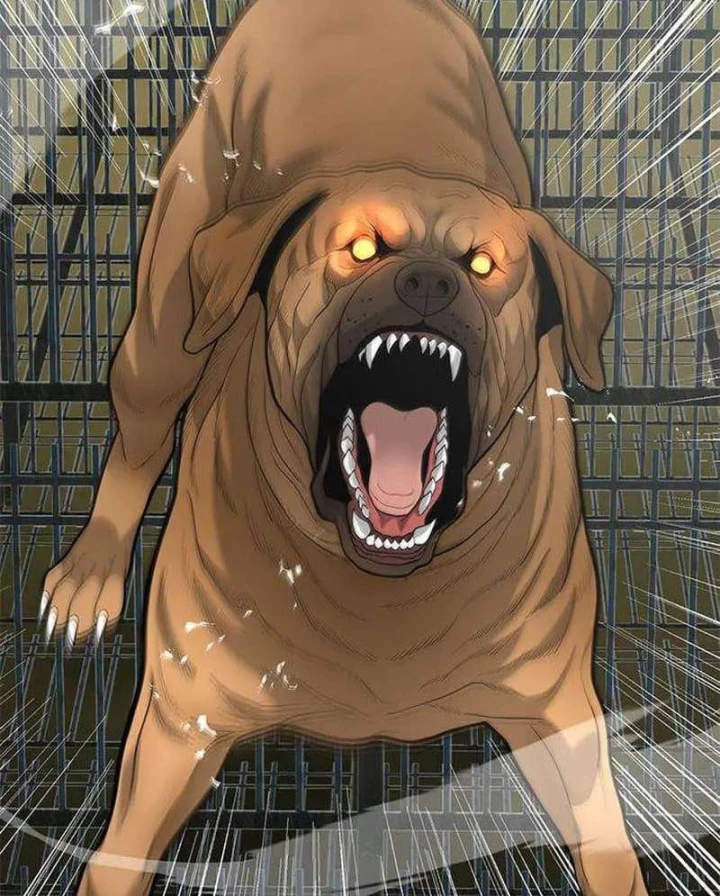 Thần của ứng biến Chapter 26 - 5
