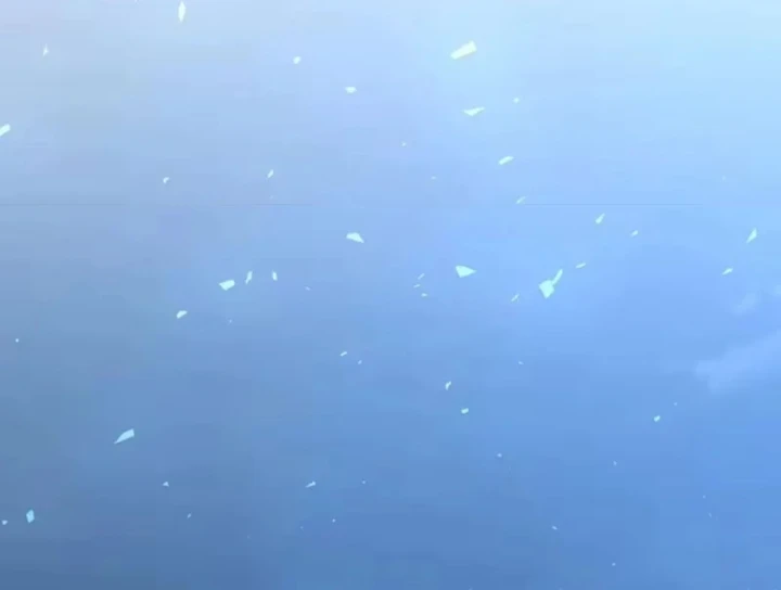 Tân Sinh Cấp SS Của Học Viện Pháp Thuật Siêu Cấp Chapter 11 - 70