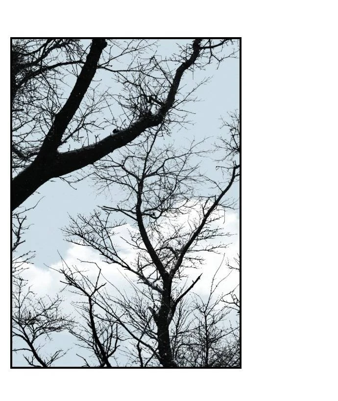 Chứng Minh Phẩm Giá Chapter 2 - 97