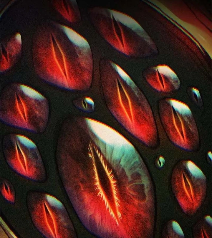 Cách Sinh Tồn Của Thợ Săn Ma Thú Chapter 7 - 174