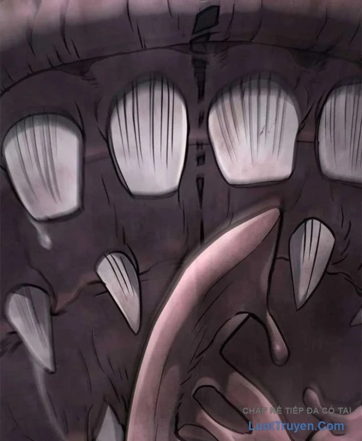 Cách Sinh Tồn Của Thợ Săn Ma Thú Chapter 11 - 3