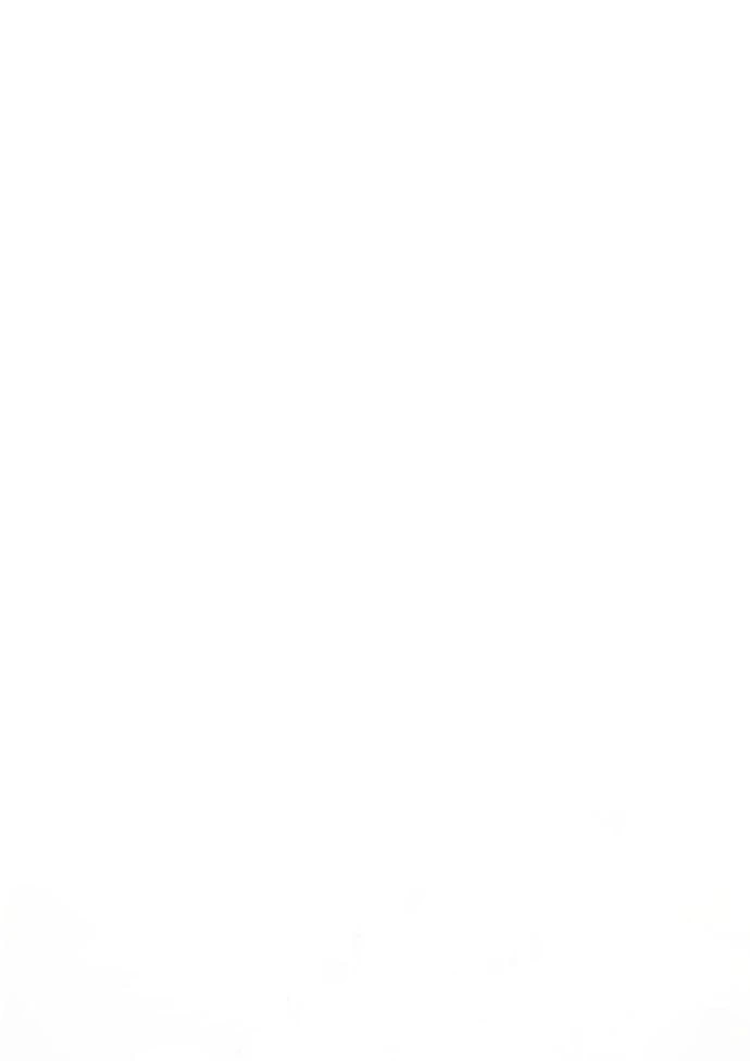 Quy Tắc Quái Dị Chapter  3 - 316