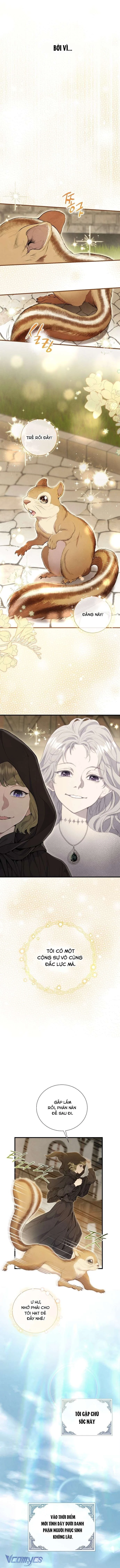 Đừng Tìm Kiếm Ác Nữ Đã Hồi Sinh Chapter  2 - 8