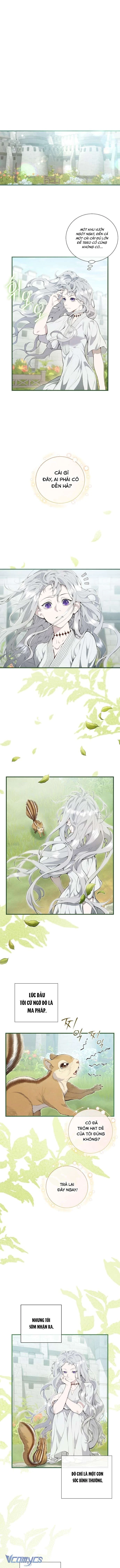 Đừng Tìm Kiếm Ác Nữ Đã Hồi Sinh Chapter  2 - 11