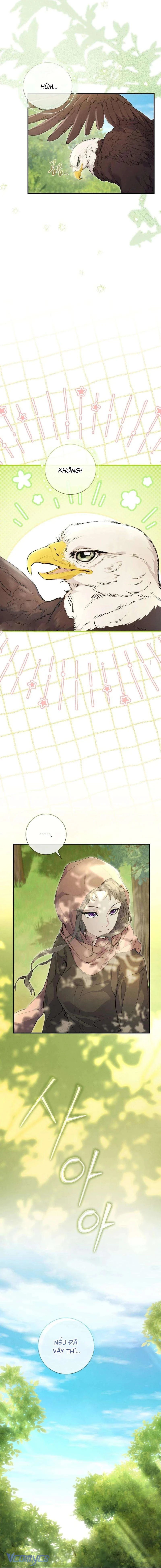 Đừng Tìm Kiếm Ác Nữ Đã Hồi Sinh Chapter  6 - 17