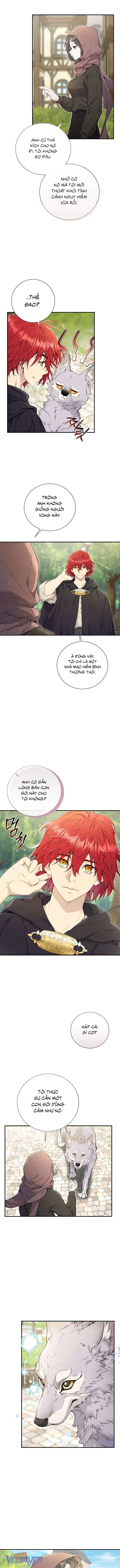 Đừng Tìm Kiếm Ác Nữ Đã Hồi Sinh Chapter  7 - 9