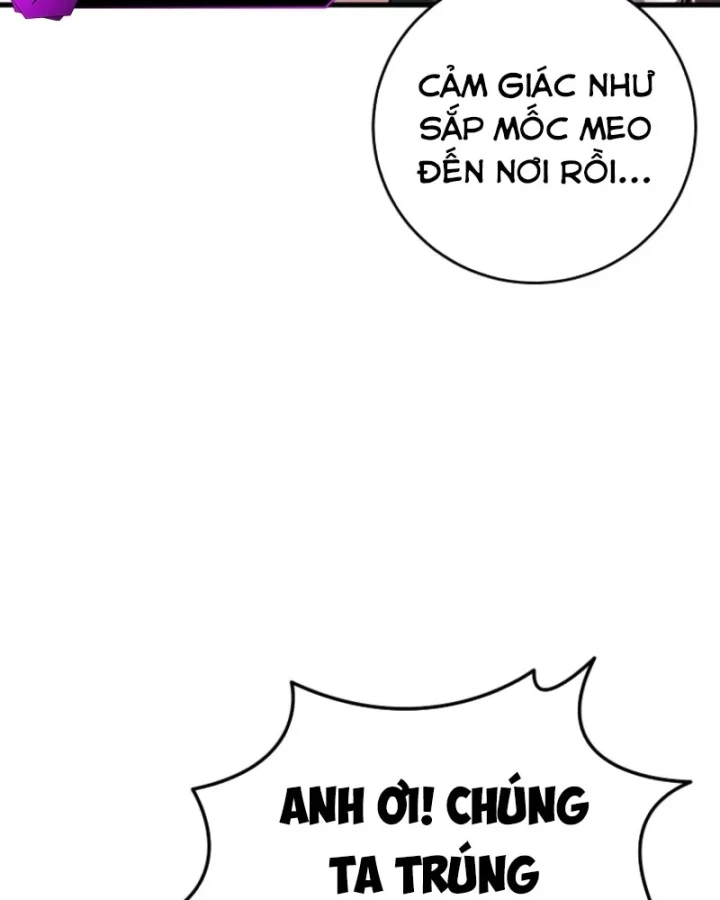 Chiến Lược Livestream Ẩn Giấu Của Kẻ Hồi Quy Chapter 6 - 102