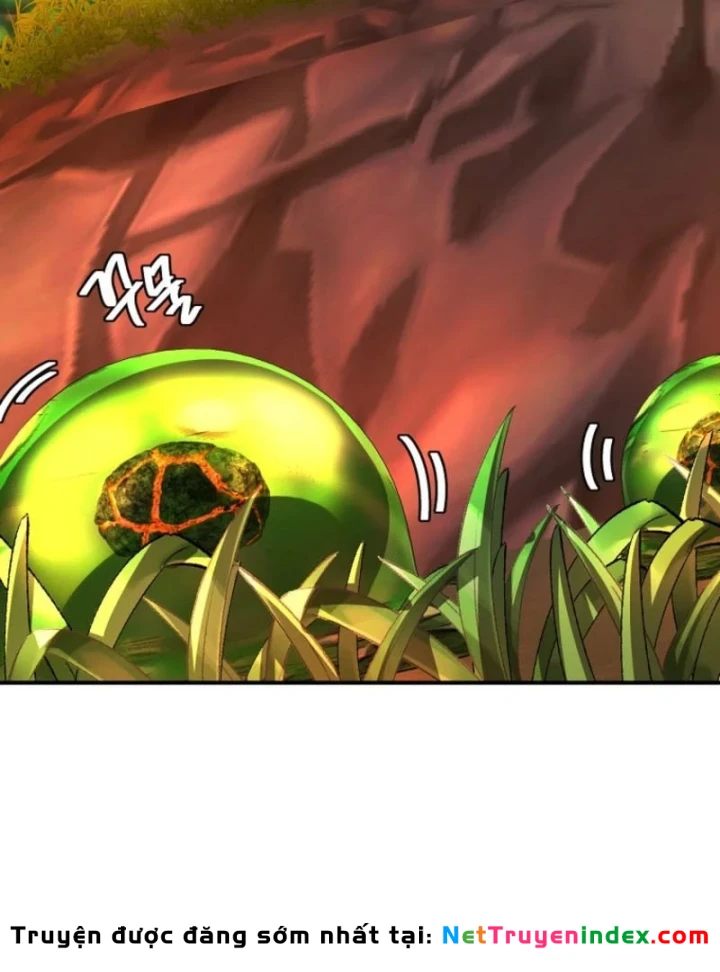 Chiến Lược Livestream Ẩn Giấu Của Kẻ Hồi Quy Chapter 8 - 33