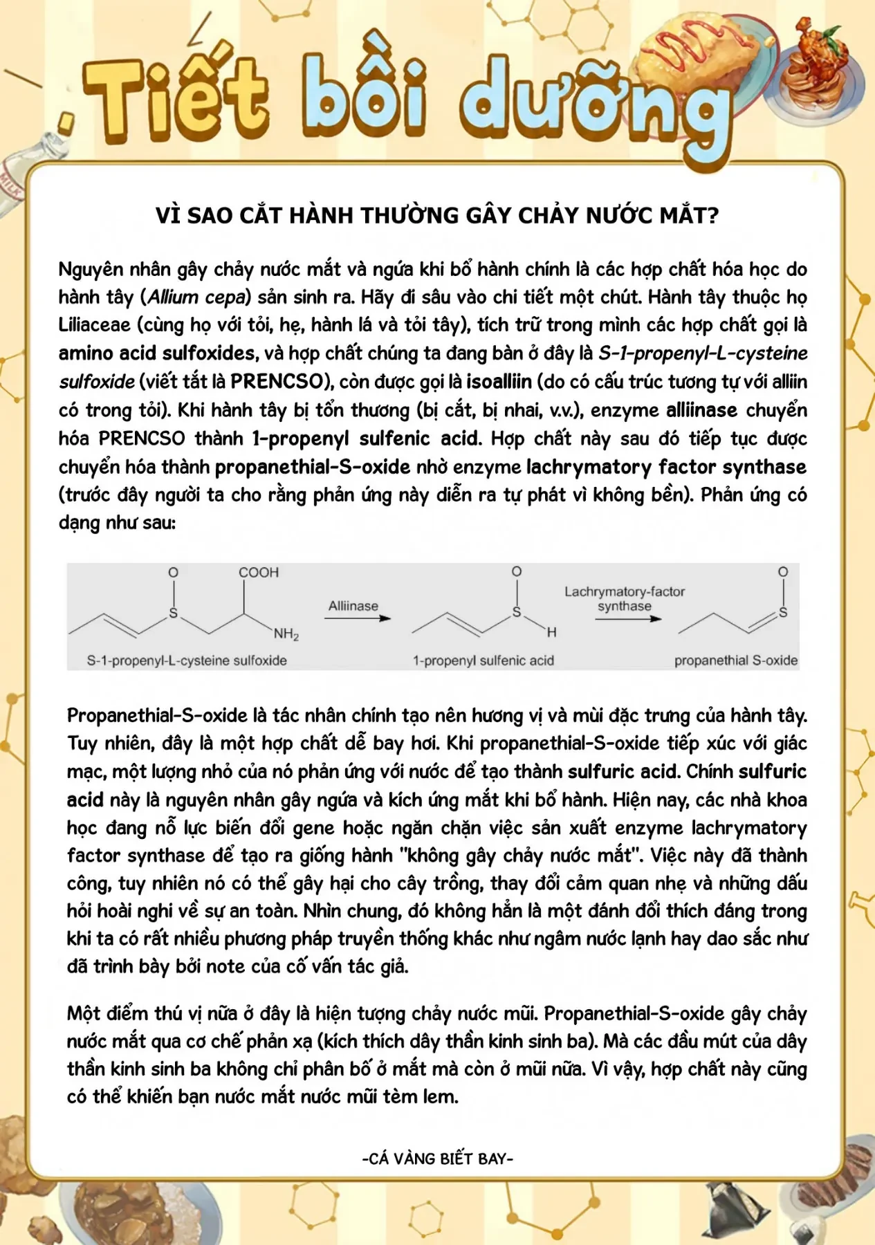 Tên Đầu Gấu Và Bữa Ăn Khoa Học Chapter  9 - 49