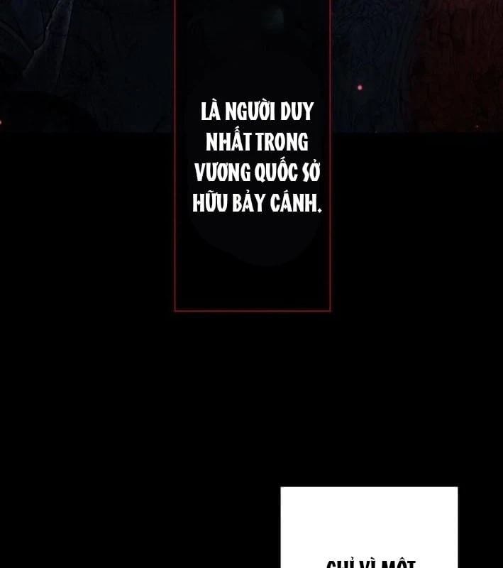 Aster: Kẻ Nổi Loạn Của Gia Tộc Bạo Chúa Chapter  1 - 26