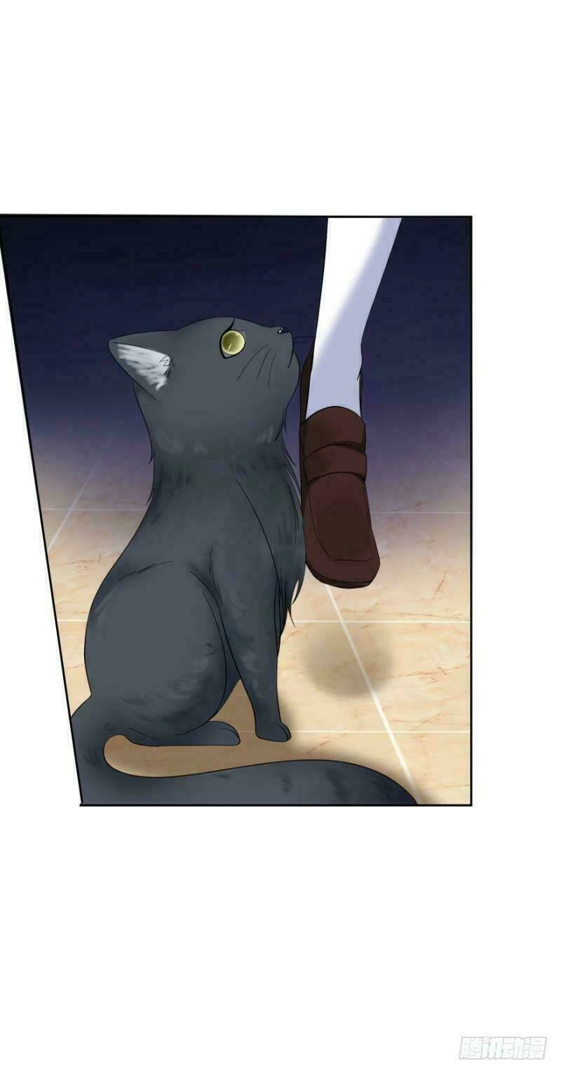 Mộ Thiếu, Lão Bà Ngươi Trọng Sinh Lại Rồi! Chapter  14 - 3