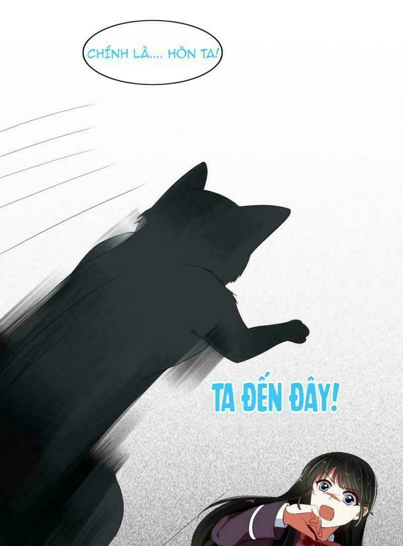 Mộ Thiếu, Lão Bà Ngươi Trọng Sinh Lại Rồi! Chapter  14 - 11