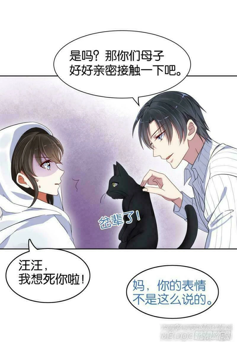 Mộ Thiếu, Lão Bà Ngươi Trọng Sinh Lại Rồi! Chapter  16 - 2