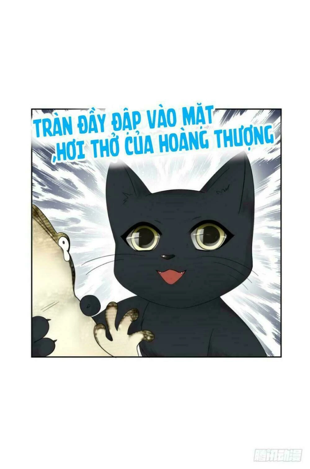Mộ Thiếu, Lão Bà Ngươi Trọng Sinh Lại Rồi! Chapter  17 - 10