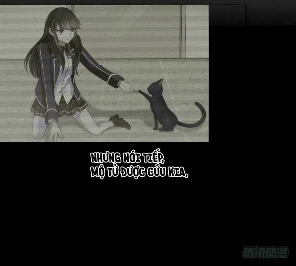 Mộ Thiếu, Lão Bà Ngươi Trọng Sinh Lại Rồi! Chapter  18 - 3