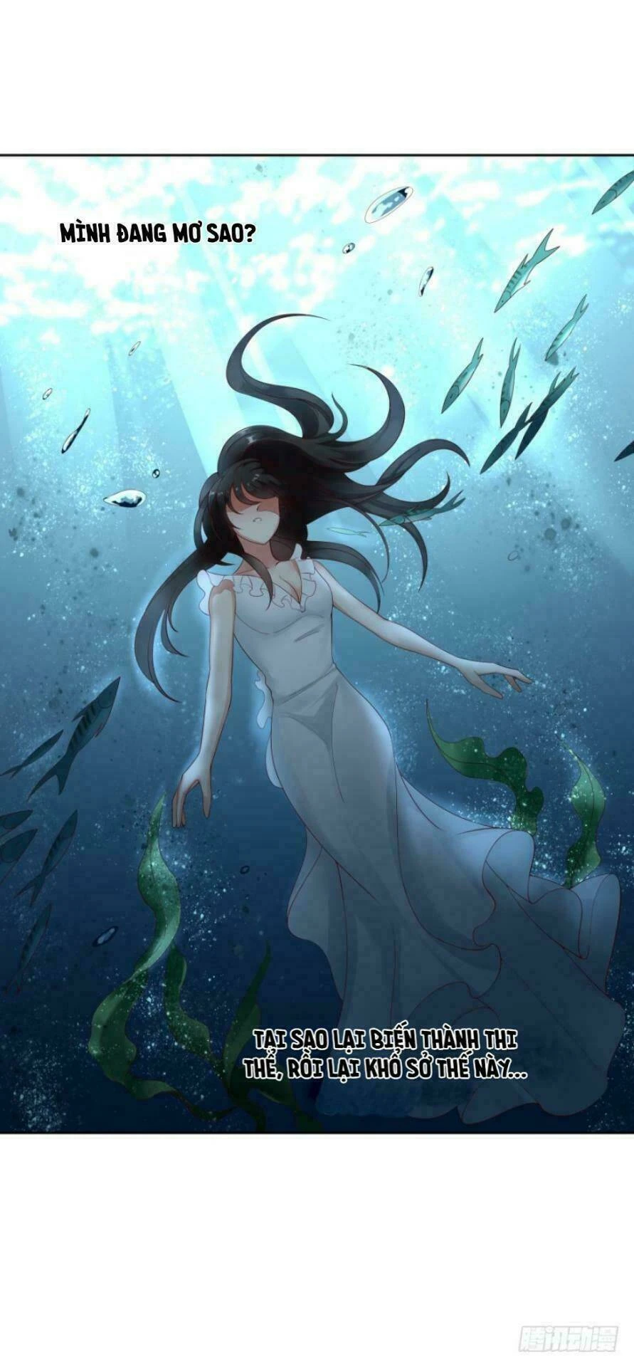 Mộ Thiếu, Lão Bà Ngươi Trọng Sinh Lại Rồi! Chapter  24 - 4