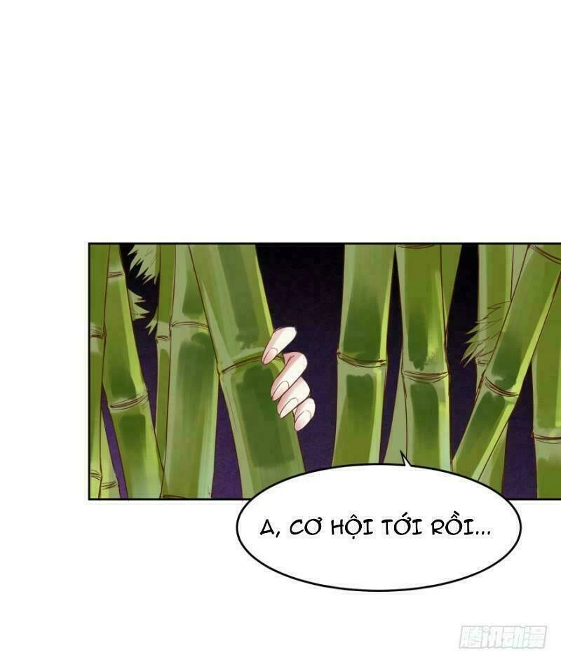 Mộ Thiếu, Lão Bà Ngươi Trọng Sinh Lại Rồi! Chapter  48 - 29