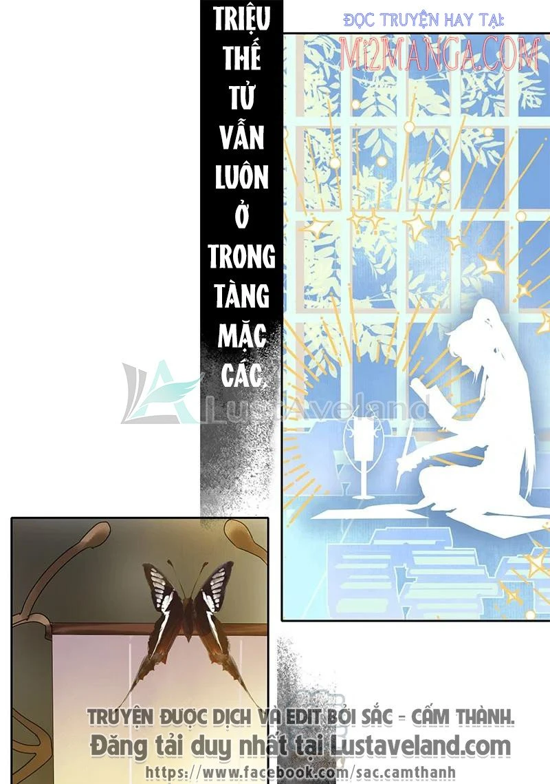 Ta Làm Lớn Ở Hậu Cung 2 Chapter 24 - 4