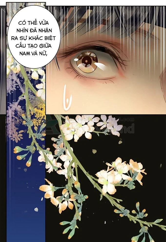 Ta Làm Lớn Ở Hậu Cung 2 Chapter 27 - 8
