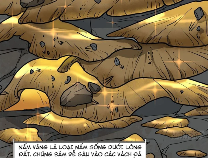 Hành Trình Anh Hùng Tại Dị Giới Chapter 16 - 21