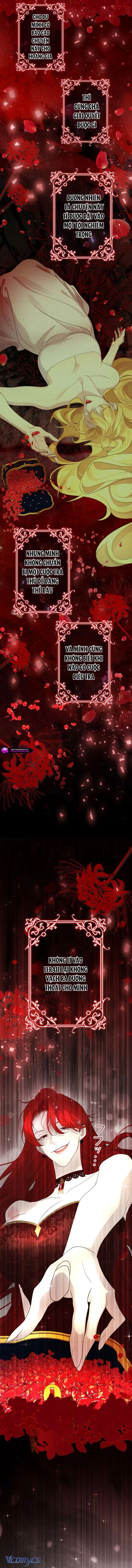 Không Cần Hối Hận Chapter 15 - 14