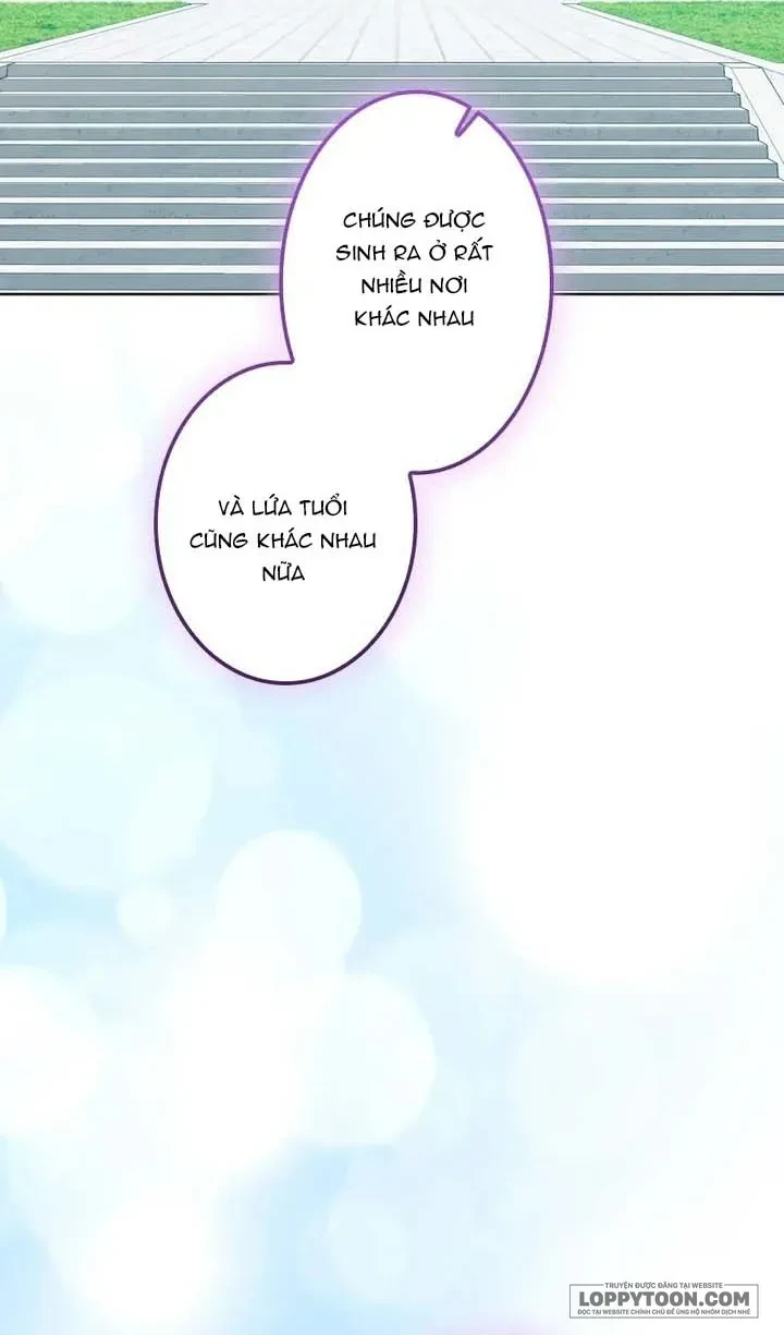 Không Cần Hối Hận Chapter 29 - 15