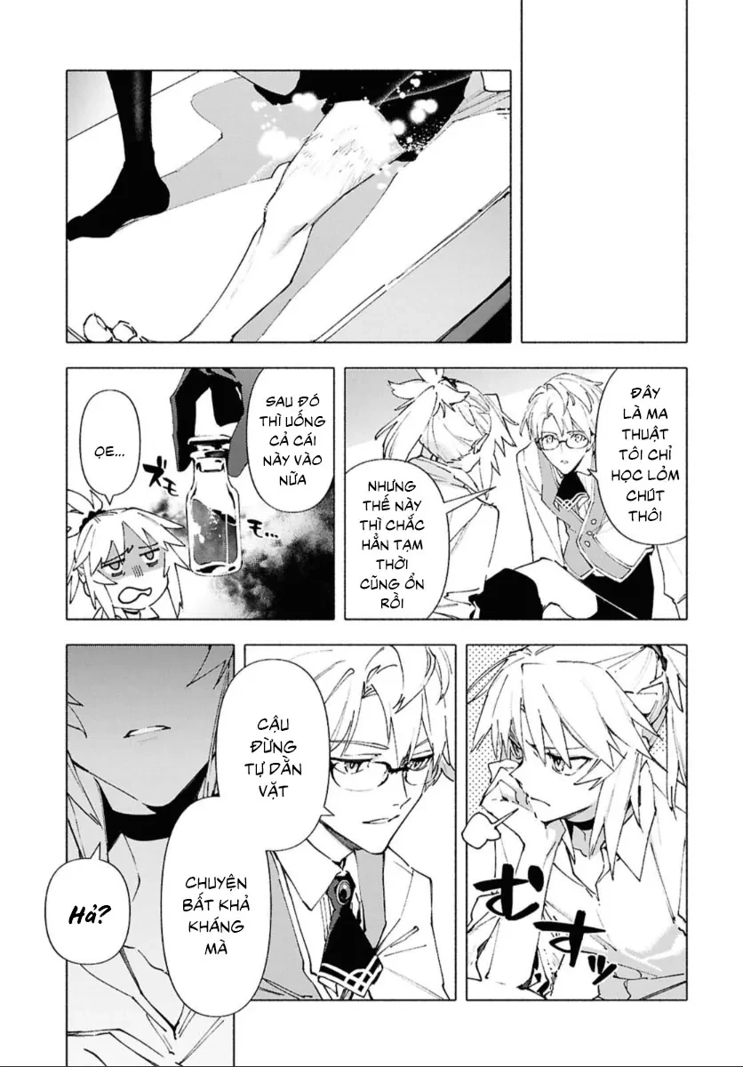 Fate/Grand Order -mortalis:stella- Chapter 24.3 - 13