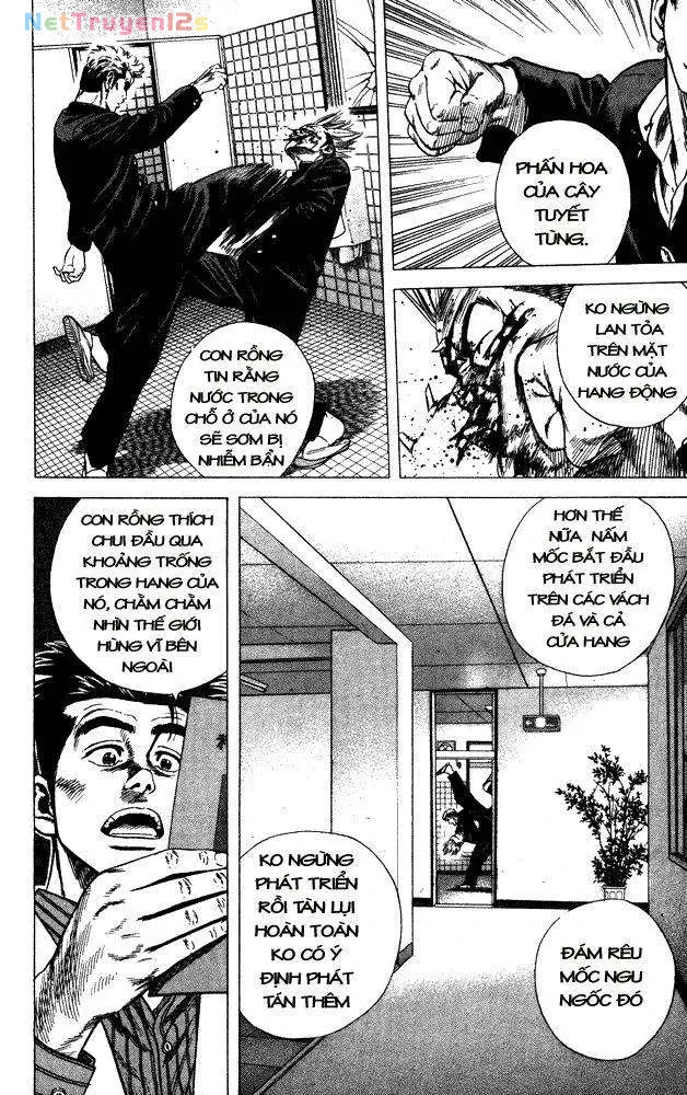 Rookies Chapter  13 - 17